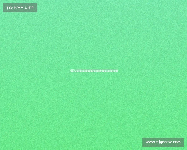 NBA助攻王历史榜单解析:从魔术师约翰逊到现役球星的成长之路